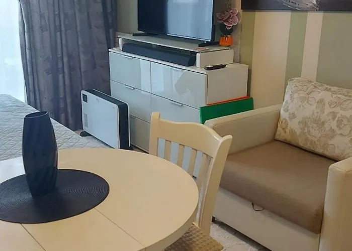 Apartment Admiral Plasa Studiyo-25c Slantschew brjag