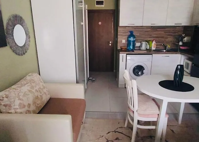 Apartment Admiral Plasa Studiyo-25c *